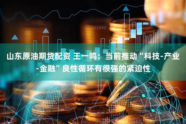 山东原油期货配资 王一鸣：当前推动“科技-产业-金融”良性循环有很强的紧迫性